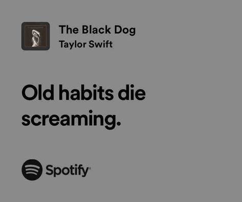 The Black Dog The Black Dog Lyrics, Black Dogs Aesthetic, Songs Captions, Valentina Core, Song Captions, Taylor Swift Song Lyrics, Great Song Lyrics, Taylor Lyrics, Swift Lyrics