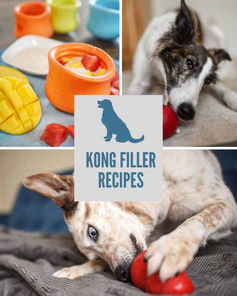 Kong Fillers Stuffing Recipes, Low Fat Dog Treats, Kong Treats, Kong Stuffing, Kong Recipes, Kong Dog Toys, Fat Dogs, Kong Toys, Puppies Tips