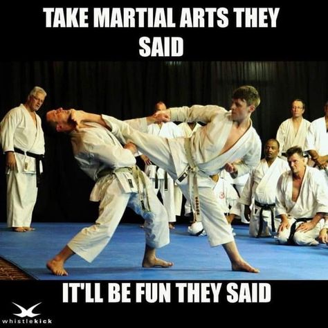 Karate Humor, Taekwondo Problems, Martial Arts Humor, Karate Quotes, Jiu Jitsu Memes, Arts Quotes, Karate Moves, Muay Thai Martial Arts, Martial Arts Quotes