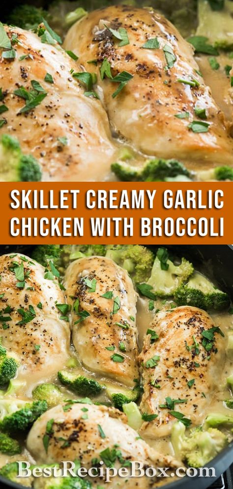 Skillet Creamy Garlic Chicken and Broccoli everyone will love! | @bestrecipebox Garlic Chicken And Broccoli, Garlic Chicken With Broccoli, Garlic Chicken Pasta, Chicken With Broccoli, Garlic Chicken Wings, Dada Ayam, Creamy Garlic Chicken, Creamy Garlic Sauce, Chicken And Broccoli