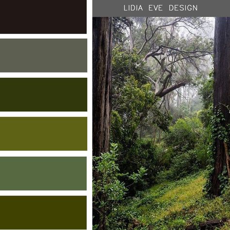 deep forest theme Forest Theme Prom, Color Palette Forest, Seeds Color Palette, Palette Garden, Forest Bedroom, Theme Bedrooms, Seeds Color, Nature Background Images, Forest Color