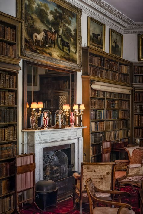 Estate Library, Library Vibes, Castle Library, Amazing Houses, Sitting Rooms, English Country Decor, My Diary, Natural Aesthetic, Book Room