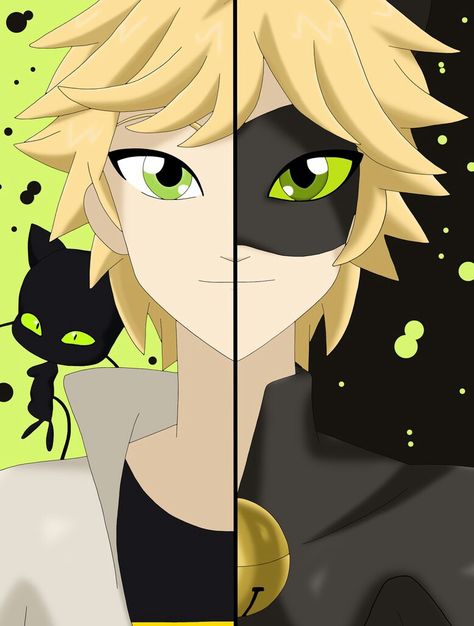 Adrien x Chat Noir Noir Anime, Miraculous Costume, X Reader Lemon, Ladybug E Catnoir, Miraculous Ladybug Fan Art, X Reader, Book Memes, Cat Noir, Kids Shows