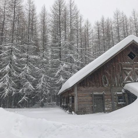 Cottage In Snow Aesthetic, Winter Aesthetic Cabin, Snowy Lodge Aesthetic, Winter Wood Aesthetic, Snowy Cottage Aesthetic, Rock Paper Scissors Alice Feeney Aesthetic, Snow Cottage Aesthetic, Snowy Cabin In The Woods Aesthetic, Medieval Snow Aesthetic