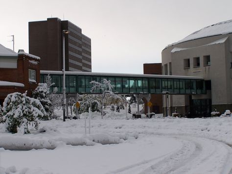 suny buffalo | University at Buffalo Buffalo University, University At Buffalo, School Architecture, Study Abroad, Wikimedia Commons, Matilda, Old Houses, Buffalo, Vision Board