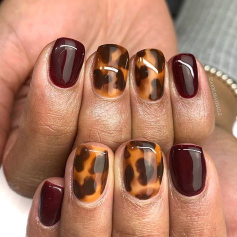 Tortishell Nails Design, Nails Jewellery, Dark Color Nails, Chloe Nails, Winter Nail Art Designs, Dark Nail, Leopard Print Nails, Nail Design Inspiration, Leopard Nails