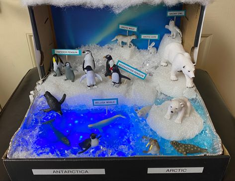 Biome In A Box Project Tundra, Artic Shoebox Project, Artic Ecosystem Shoebox Project, Polar Ecosystem Project, Penguin Diarama For Kids, Polar Bear Habitat Project, Arctic Biome Project, Arctic Tundra Diorama, Tundra Diorama For Kids