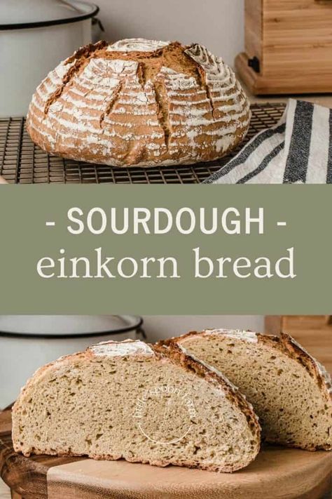 Sourdough Einkorn Bread, Einkorn Sourdough Discard Bread, Einkorn Sourdough Recipes, Einkorn Sourdough Bread Recipe, Sourdough Patterns, Einkorn Sourdough Sandwich Bread, Whole Grain Einkorn Bread, Jovial Einkorn Bread Recipes, Sourdough Einkorn