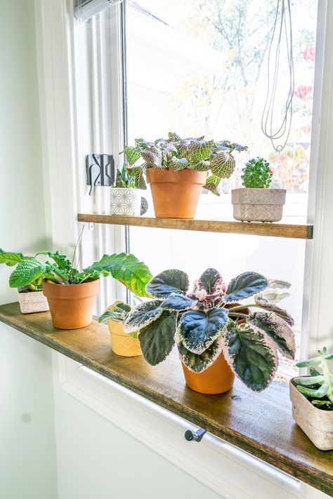 Hanging Window Plant Shelf Diy, Diy Window Ledge Plant Shelf, Window Ledge Plant Shelf, Window Sill Shelf For Plants, Indoor Window Plant Shelf, Diy Window Sill Plant Shelf, Diy Window Plant Shelf, Window Sill Plant Shelf, Plant Shelving