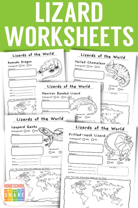 Lizard Worksheet Research Project - Homeschool Share Lizard Unit Study, Reptile Worksheets Free Printable, Lizard Activities For Kids, Reptile Unit Study, Reptiles Activities, Lizard Craft, Animals And Habitats, Cute Chameleon, Pre K Science