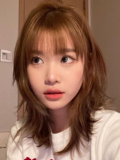 Wispy Bangs Bob, Korean Haircut Short, Hairstyles Ulzzang, Korean Pixie, Pop Hairstyles, Block Haircut, Korean Bob, Korean Perm, Bangs Undercut