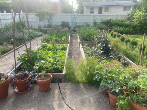 Gardening in Iowa With Ross - FineGardening Iowa Garden, October Sky, Vegetable Gardens, Fine Gardening, Native Garden, Plant Needs, In The Fall, Small Garden, Arbor