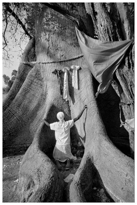 Gaël Turine, Gonaïves Region, Haiti, March 2008. Voodoo pilgrimage in Lakou Souvenance during the Easter week, © Gaël Turine. Conjure Woman, Orishas Yoruba, Yoruba People, Voodoo Hoodoo, Folk Magic, Oh My Goddess, Afrocentric Art, Southern Gothic, African Beauty