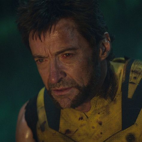 Hugh Jackman Wolverine Pfp, Wolverine Pfp, Wolverine 2024, Wolverine Icon, Logan Howlett, Deadpool Comic, Deadpool 3, Wolverine Hugh Jackman, Australian Men