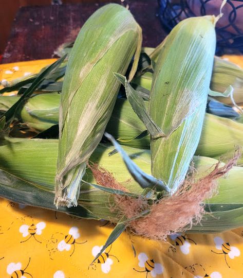 Freezing Corn On The Cob In The Husk, Freezing Corn On The Cob, Freezing Corn, Food Processor Uses, Jalapeno Peppers, Breakfast Eggs, Water Bath Canning, Avocado Fruit, I Gave Up