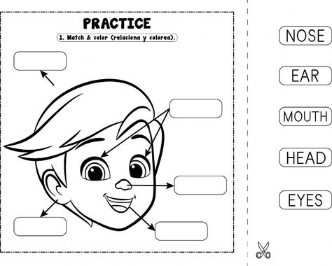 Face Parts Activities, Parts Of The Body Worksheet Kindergarten, My Face Worksheet For Kids, Parts Of The Face Activities For Kids, My Face Activities For Preschool, Parts Of The Body Worksheets Preschool, Body Parts Worksheet Kindergarten, Face Parts Worksheet, Face Parts For Kids