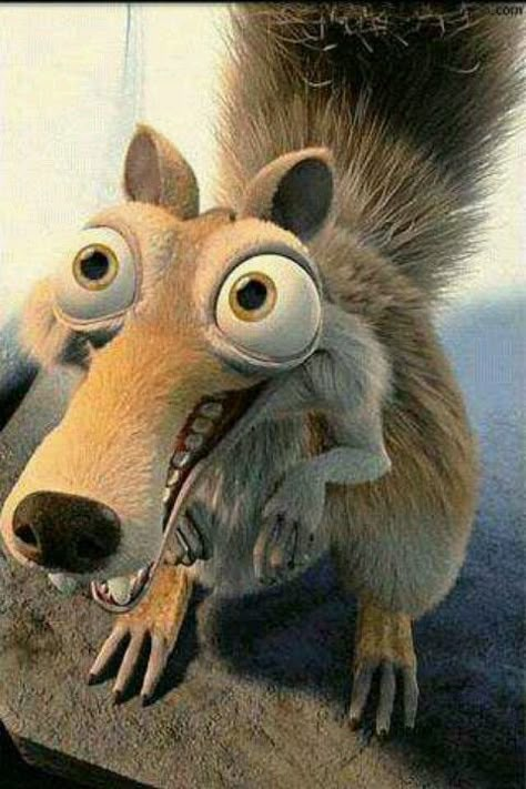 Scrat the squirrel from ice age movies Ice Age Squirrel, Ice Age Sid, Ice Age 4, Ice Age Movies, Wallpaper Disney, Septième Art, Disney Animals, Live Wallpaper Iphone, Animation Movie