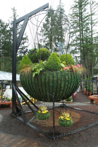 Hanging Plants Diy, Dubai Garden, Container Planting, Garden Corner, Hanging Gardens, Garden Basket, Metal Watering Can, Hanging Flower Baskets, Hanging Plants Indoor