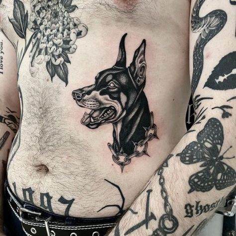 Doberman Chest Tattoo, Doberman Stomach Tattoo, Dog Muzzle Tattoo, Vicious Dog Tattoo, Cerberus Tattoo Traditional, Angry Doberman Tattoo, Angry Dog Tattoo, Traditional Doberman Tattoo, Doberman Tattoo Design