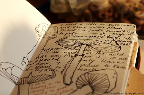 Living Creatively: 10 Ways to Vary Your Nature Journal Layouts Field Notes Journal Ideas, Sketchbook Aesthetic Messy, Messy Notebook Aesthetic, Bug Backpack, Notebook Scribbles, Natural Journal, Wildlife Journal, Form Sketches, Messy Journal Aesthetic