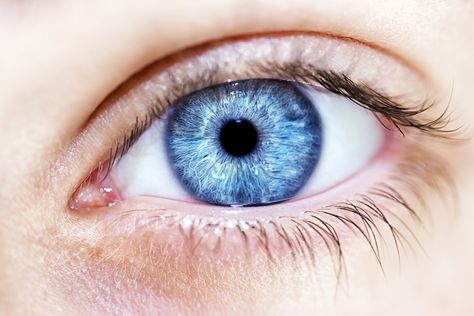 All Blue-Eyed People Share One Common Ancestor Aesthetic Draw, People With Blue Eyes, Eye Reference, Draw Eye, Sofie Dossi, Mata Biru, Change Your Eye Color, Birth Colors, Blue Eye Color