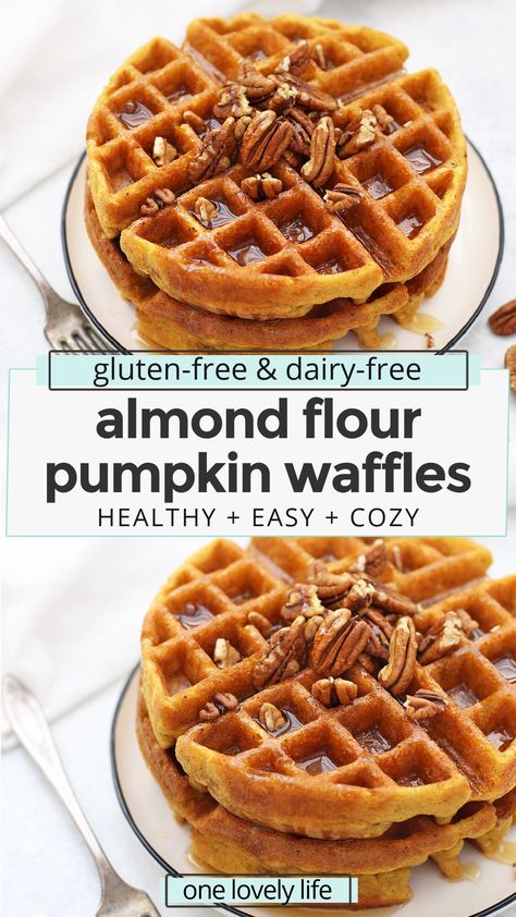 Almond Flour Pumpkin Waffles - These paleo pumpkin waffles are naturally gluten free, and completely delicious. Crispy on the outside and fluffy on the inside. // Paleo waffle recipe // almond flour waffle recipe // gluten free pumpkin waffle recipe // gluten free pumpkin waffles recipe // paleo pumpkin waffles recipe // almond flour waffles recipe // pumpkin waffles recipe // paleo breakfast // paleo pumpkin recipes // gluten free breakfast // healthy pumpkin waffles #almondflour #waffles Almond Flour Waffle Recipe, Waffle Recipe Gluten Free, Gluten Free Pumpkin Waffles, Paleo Pumpkin Waffles, Recipes Waffles, Almond Flour Pumpkin, Pumpkin Waffles Recipe, Gluten Free Pumpkin Recipes, Gf Breakfast