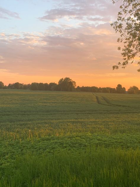 Cottagecore Morning Aesthetic, Summer Walk Aesthetic Morning, Rural Summer Aesthetic, Summer Mornings Aesthetic, Late Summer Vibes, Summer Heat Aesthetic, Early Summer Morning Aesthetic, Warm Spring Aesthetic, Spring Morning Aesthetic