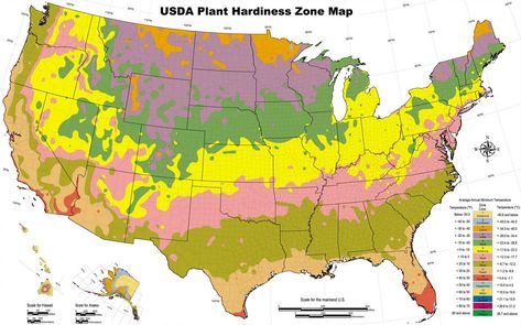 What is a Hardiness Zone? A USDA Hardiness Zone is a defined geographical area where a specific category of plant life is able to grow. The below USDA Planting Zones Map shows different planting zones around the United States of America. Each zone is divided into sections and each zone represents an area of PLANT … … Continue reading → Growing Zones Map, Gardening Zone Map, Planting Zones Map, Zone 5 Plants, Micro Farming, Planting Chart, Angel Garden, Plant Hardiness Zone Map, Backyard Farm