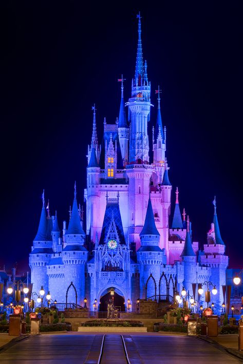 [​IMG] Castle Night Aesthetic, Cinderella Castle Wallpaper, Castle Images, Castle Night, Chateau Disney, Disney World Castle, Castle Disney, Magical Castle, Disney World Secrets