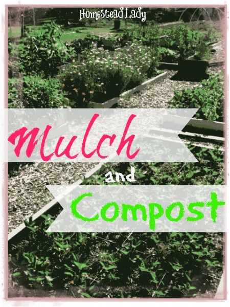 Mulch and Compost - Homestead Lady Compost Mulch, Lasagna Gardening, Types Of Mulch, Gardening Techniques, Garden Compost, Thriving Garden, Garden Store, Backyard Farming, Organic Gardening Tips