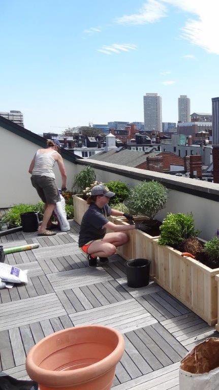 Simple Balcony, Ideas Terraza, Verbena Bonariensis, Roof Terrace Design, Balcon Mic, Apartment Simple, Terrace Garden Ideas, Apartment Privacy, Rooftop Patio Design