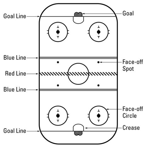 Hockey for dummies---I think I need this. How To Play Hockey, Field Hockey Rules, Floor Hockey, Quotes Girlfriend, Girls Hockey, Hockey Drills, Hockey Rules, Hockey Party, Pe Class