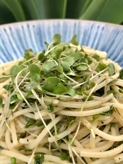 Microgreen Recipes, Broccoli Microgreens, Microgreens Recipe, Garlic Butter Pasta, Pasta With Broccoli, Butter Pasta, Homemade Meals, Lemon Pasta, Sprout Recipes