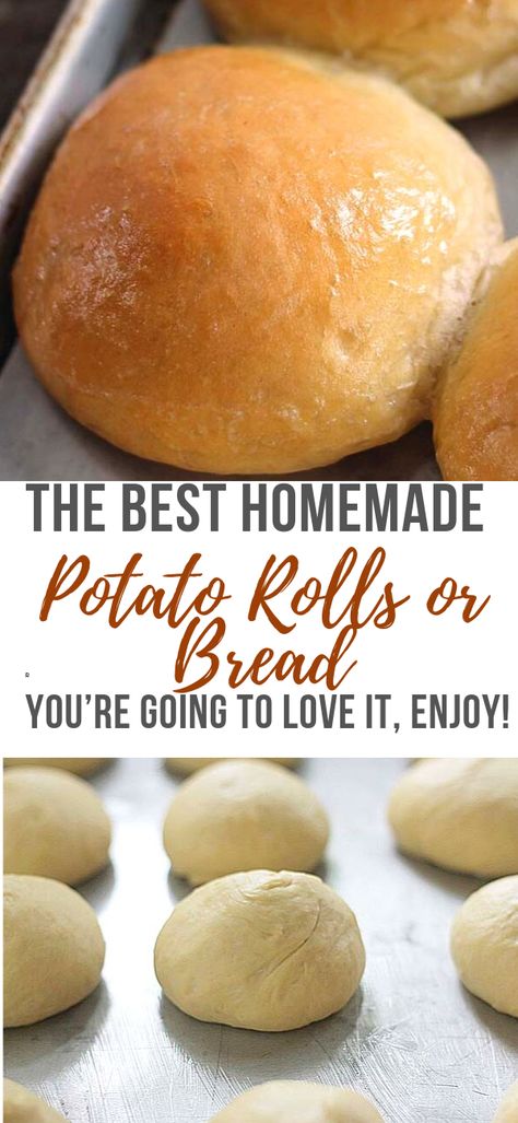 Potatoes Bread Recipe, Easy Potato Bread Recipe, Homemade Potato Rolls, How To Make Potato Bread, Easy Potato Bread, Potato Rolls Recipe Mashed, Potatoe Bread Recipe Easy, Bread Potato Recipes, Potato Dough Recipe