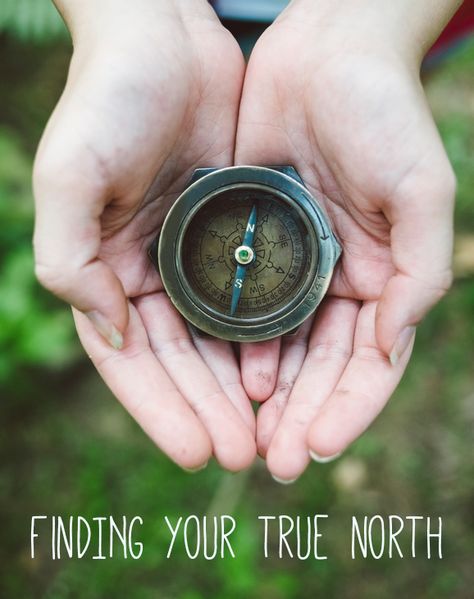 Finding Your True North: How to Claim Your Expertise, Lisa Jacobs for OMHG True North Quotes, North Compass, Camping Books, Business Minded, Hands Holding, True North, World View, Stock Photography Free, Small Business Tips