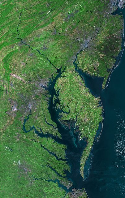 Beautiful New Landsat Mosaic of Chesapeake Bay by NASA Goddard Photo and Video, via Flickr Chesapeake Shores, Maryland Blue Crab, Nasa Goddard, Nasa Poster, Satellite Image, Newport News, Earth From Space, Chesapeake Bay, Space Flight