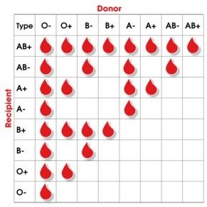 Medische Humor, Tabel Periodik, Medical Terminology Study, Blood Group, Medicine Studies, Nurse Study Notes, Nursing Student Tips, Biology Facts, Medical Student Study