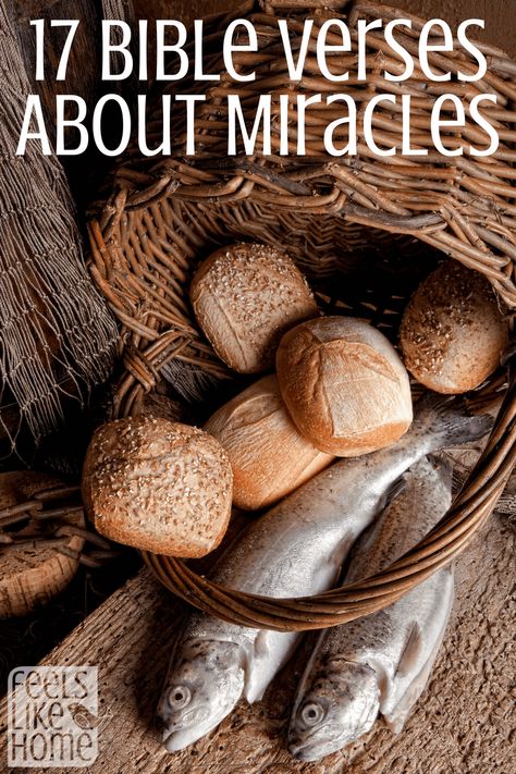 Miracles In The Bible, Waiting For A Miracle, Net Basket, How To Pray Effectively, Prayers Answered, Loaves Of Bread, Bible Verse Signs, How To Pray, Fish Stock