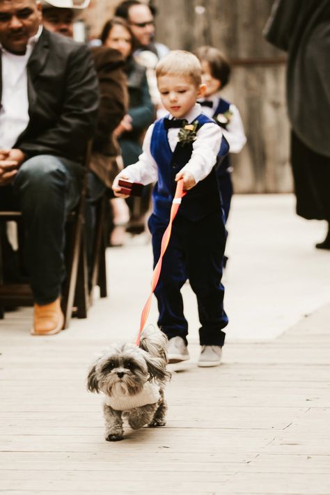 Adorable moment as the ring bearer walks down the aisle with the couple's dog | Image by Brandi Allyse Photo Ring Bearer Dog Ideas, Doggie Ring Bearer, Ring Barrier Ideas, Dog Ring Bearer Ideas, Wedding Ideas Dog Ring Bearer, Dog Bringing Rings Wedding, Dogs Ring Bearer, Dog As Ring Bearer, Dog Flower Girl And Ring Bearer