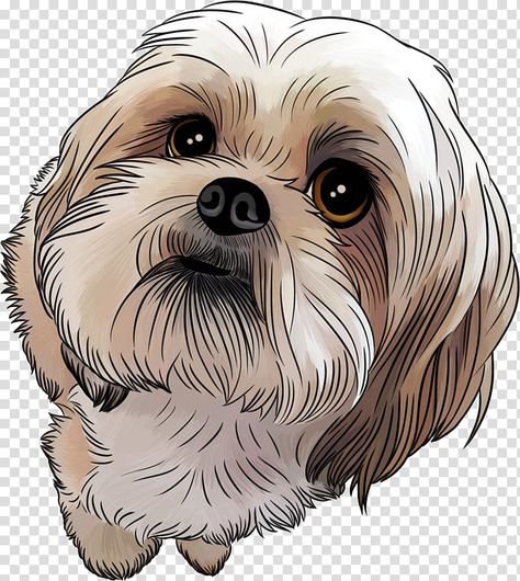 Perro Shih Tzu, Chien Shih Tzu, Shitzu Dogs, Maltese Shih Tzu, Puppy Drawing, Draw Ideas, 강아지 그림, Dog Painting, Maltese Dogs