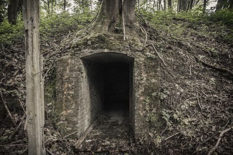 Secret bunker hidden in the woods. Belgium. Secret Hideout Outside, Hidden Bunker, Apocalypse Bunker, Murray Bauman, Abandoned Exploration, Underground Building, Secret Bunker, Ww1 Art, Underground Shelter