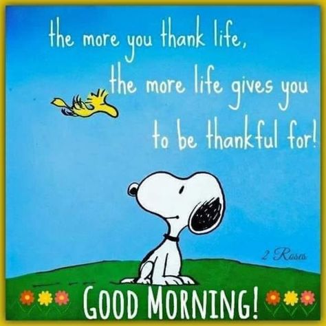 10 Best Good Morning Snoopy Images And Quotes Happy Monday Gif, Peanuts Snoopy Quotes, Peanuts Quotes, Emoticon Love, Prayer Pictures, Good Morning Snoopy, Good Morning Happy Monday, Sympathy Quotes, Good Morning Sunshine Quotes