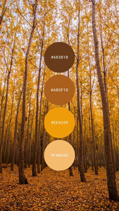 Amber Interiors Paint Colors, October Colour Palette, Fall Pallet Colors, Brown And Orange Living Room Ideas, Amber Color Aesthetic, Amber Color Palette, Amber Room, Yarn Color Combinations, Living Colors