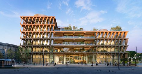 Mass Timber, Shading Device, Laboratory Design, Timber Architecture, Evolutionary Biology, Double Twist, Architectural Competition, Timber Buildings, Century City