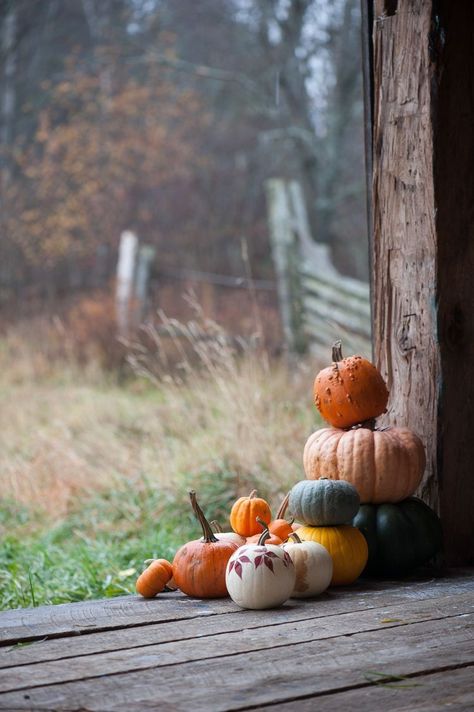 Fall Planning, Country Gardens, Paint Night, Fabulous Fall, Fall Feels, Autumn Beauty, Autumn Aesthetic, Samhain, Hello Autumn