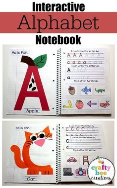 Interactive Alphabet Notebooks, Alphabet Notebook, Preschool Letters, Alphabet Preschool, Interactive Notebook, Preschool Lessons, Kindergarten Literacy, Letter A Crafts, Toddler Learning Activities