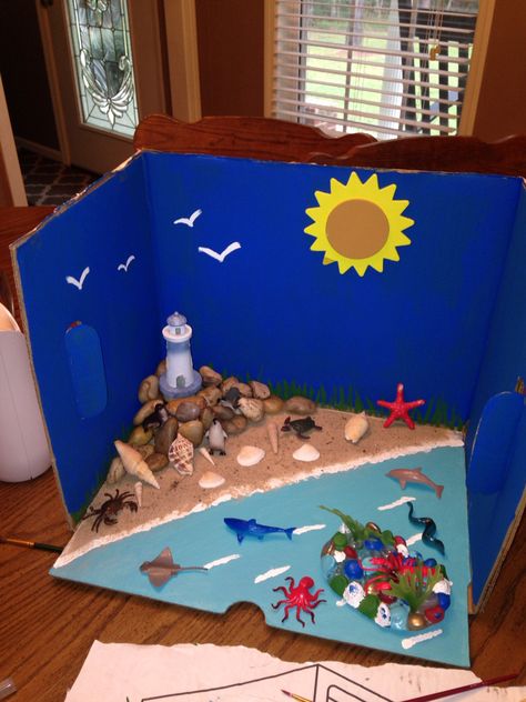 Ocean and Coast Diorama we made for Kaitlyns school project ! Ocean School Project Ideas, Diaroma Ideas Kids, Ocean Diorama Ideas, Ocean Diorama Project Under The Sea, Ocean Diaroma School Projects, Diorama Ideas Ocean, Ocean Ecosystem Diorama, Tide Pool Diorama, Beach Diorama