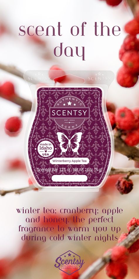 Winterberry Apple Tea Scentsy Bar: Winter tea, cranberry,apple, and honey. The perfect fragrance to warm you up during cold winter nights Fall Winter 2023 2024, Scentsy Scent, September 1st, Winter 2023, 2023 2024, Scents, The Day, Fall Winter