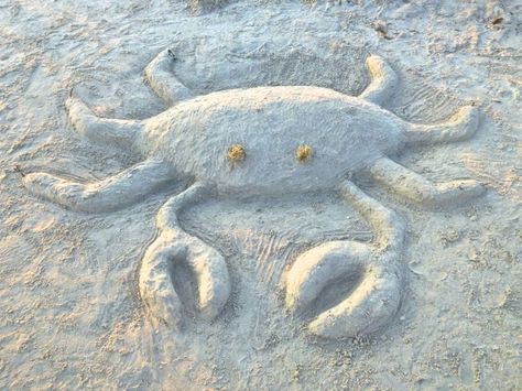 Sand crab...... Sanibel Lighthouse, Beach Sand Art, Sand Projects, Shell Animals, Dorset Coast, Lighthouse Beach, Crab Art, Tidal Pool, Castle Art