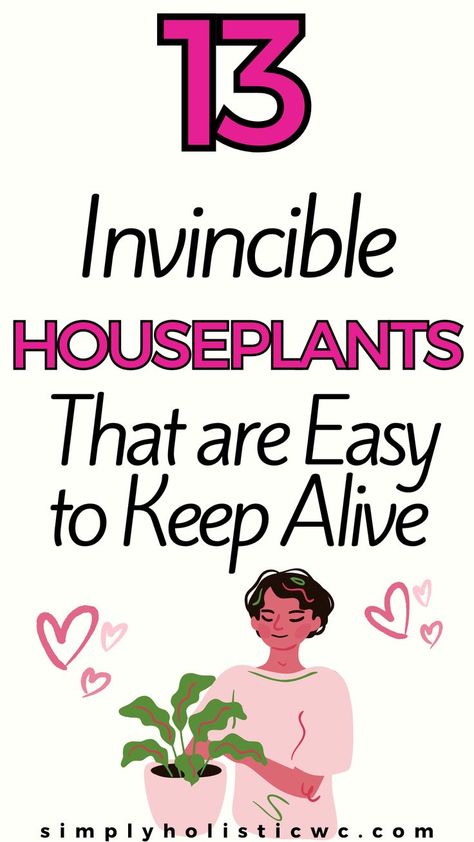 13 Easiest Houseplants to Keep Alive Low Humidity House Plants, Easiest House Plants To Keep Alive, Best Indoor Plants For Low Light, Indoor Plants For Low Light, Plants Low Light, Plants For Low Light, Plants To Grow Indoors, Easiest Plants To Grow, Small Garden Plans